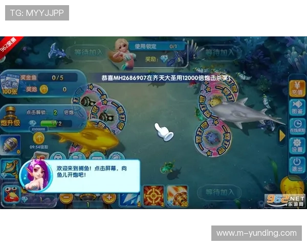 金鲨银鲨飞禽走兽单机版游戏界面操作指南及界面优化建议